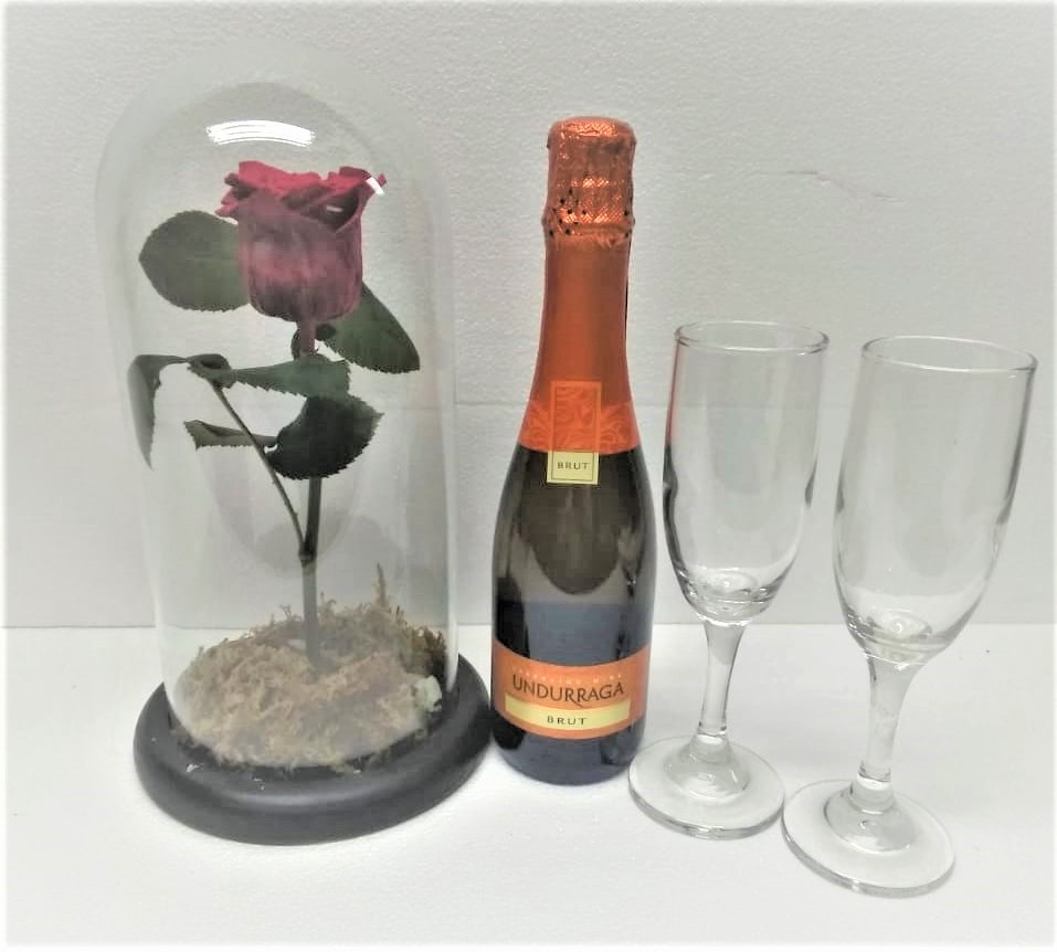 Rosa Preservada con tallo en Cpula, Champagne 375cc y 2 copas.