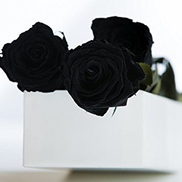 Caja de 18 Rosas Negras
