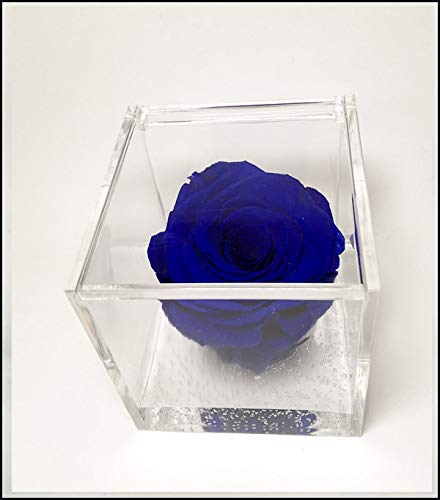 Rosa Azul Preservada en Cubo
