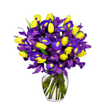 Florero de Iris y 20 Tulipanes Amarillos